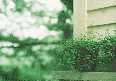 รูปฝนตก กริตเตอร์คอมเมนท์ น่ารักๆ No.1
