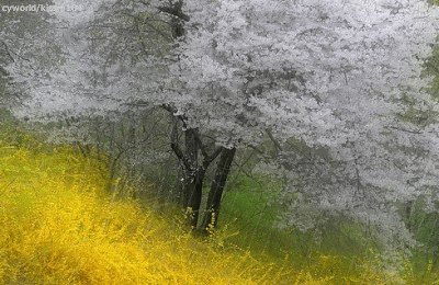รูปฝนตก กริตเตอร์คอมเมนท์ น่ารักๆ No.1