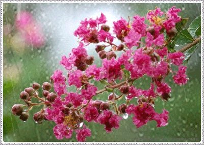 รูปฝนตก กริตเตอร์คอมเมนท์ น่ารักๆ No.2