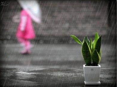 รูปฝนตก กริตเตอร์คอมเมนท์ น่ารักๆ No.2