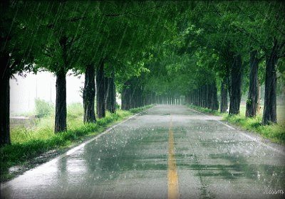 รูปฝนตก กริตเตอร์คอมเมนท์ น่ารักๆ No.2