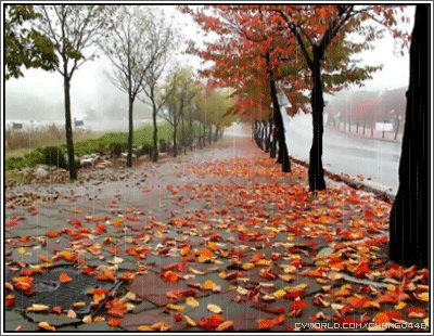 รูปฝนตก กริตเตอร์คอมเมนท์ น่ารักๆ No.3