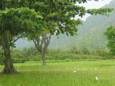 รูปฝนตก กริตเตอร์คอมเมนท์ น่ารักๆ No.3