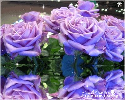 ดอกกุหลาบ ดอกไม้สวยๆ กริตเตอร์ น่ารักๆ No.2