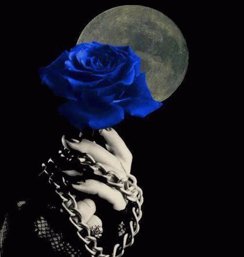 Angel-Evil Dark Art - No.2
