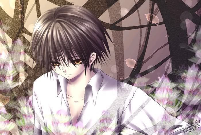 Anime Art - No.5