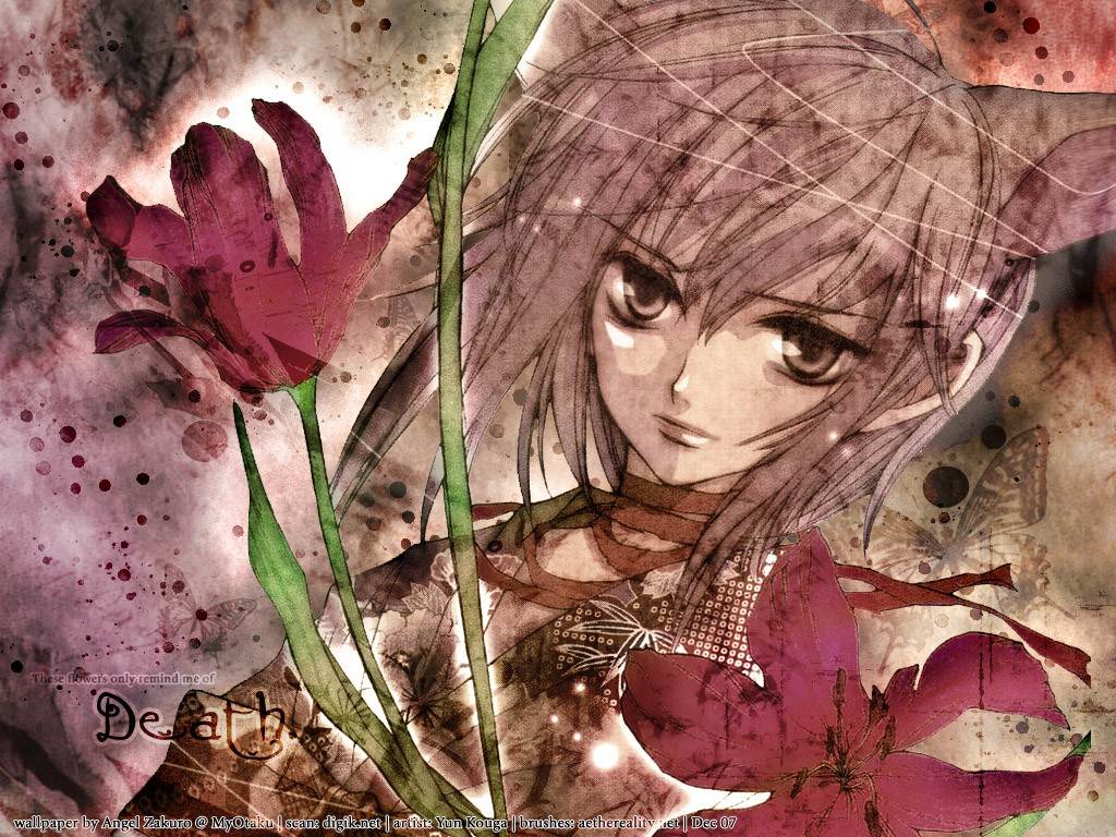 Anime Art - No.8