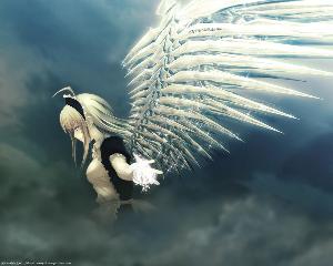 Anime Art - No.11