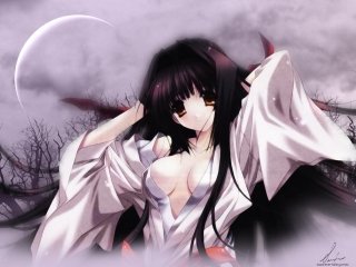 Anime Art - No.11