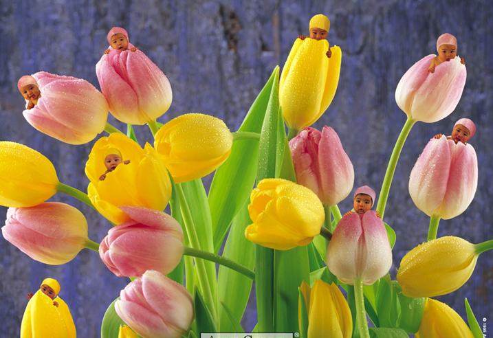 Wallpaper ภาพพื้นหลัง พักหน้าจอ No.2