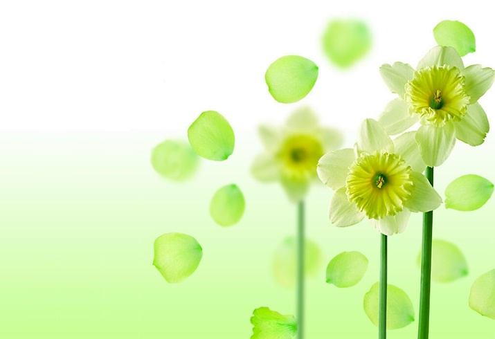 Wallpaper ภาพพื้นหลัง พักหน้าจอ No.2