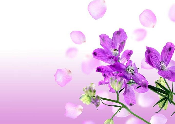 Wallpaper ภาพพื้นหลัง พักหน้าจอ No.2