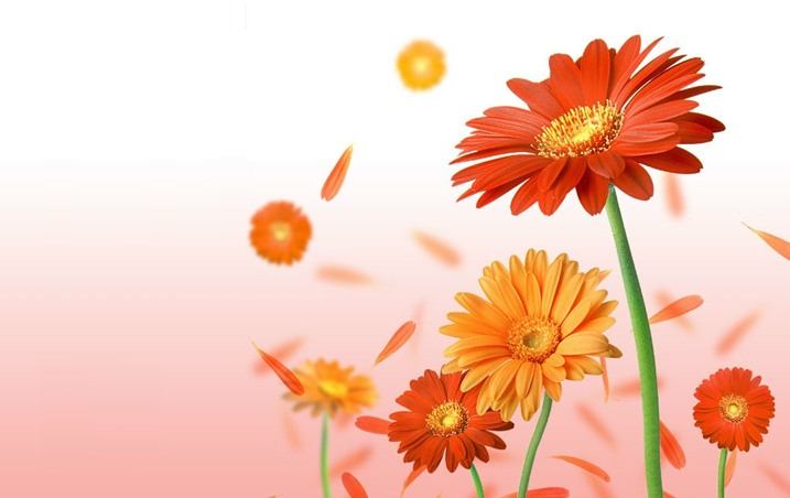 Wallpaper ภาพพื้นหลัง พักหน้าจอ No.2