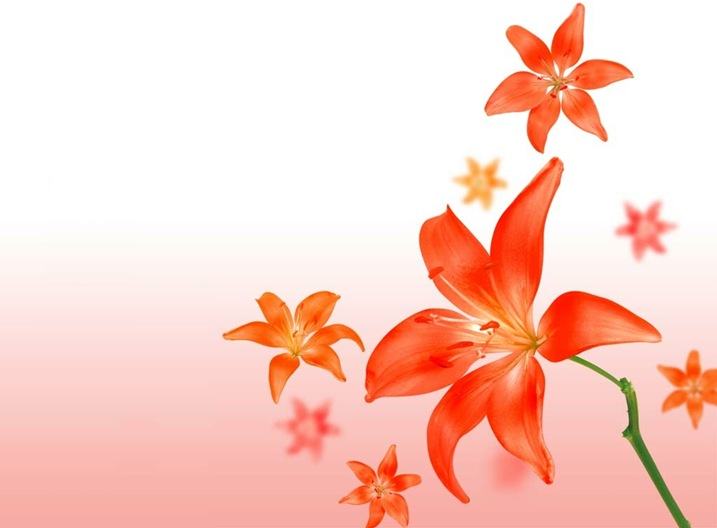Wallpaper ภาพพื้นหลัง พักหน้าจอ No.2