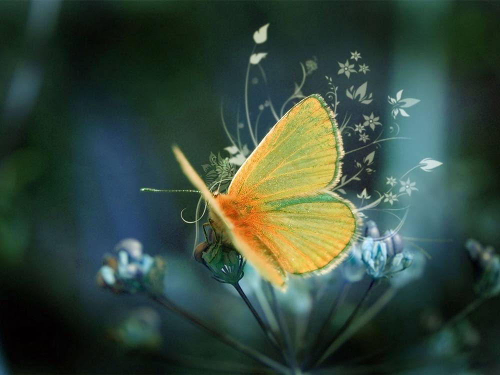 3D-HD-Wallpapers ภาพพื้นหลัง พักหน้าจอ No.1