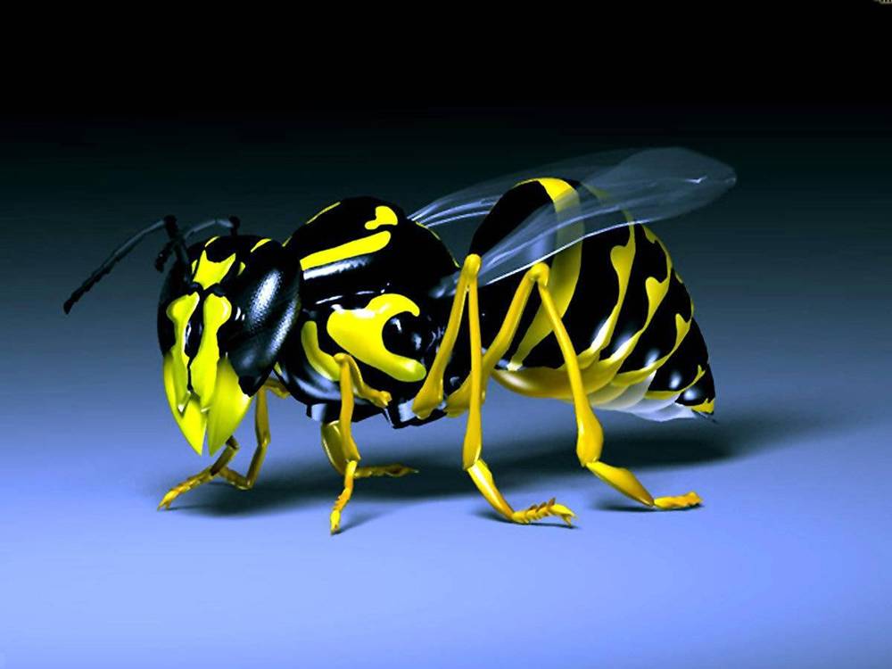 3D-HD-Wallpapers ภาพพื้นหลัง พักหน้าจอ No.1