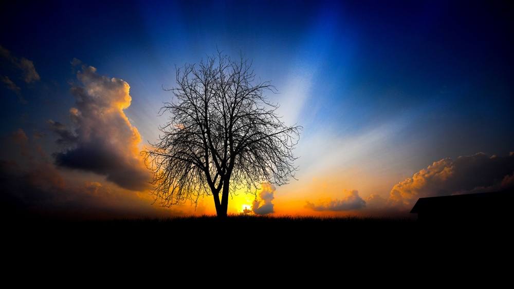 3D-HD-Wallpapers ภาพพื้นหลัง พักหน้าจอ No.2