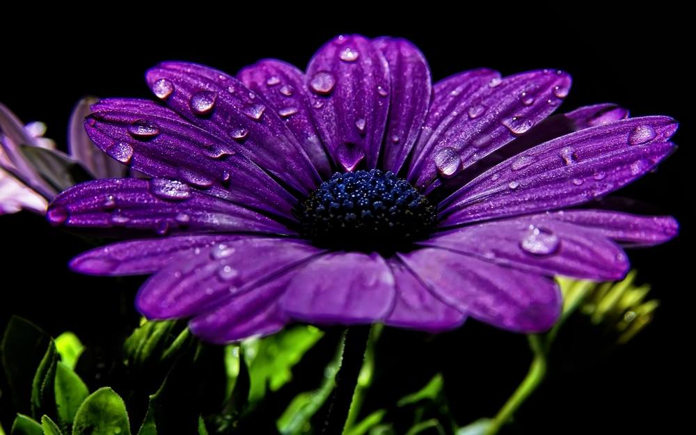 3D-HD-Wallpapers ภาพพื้นหลัง พักหน้าจอ No.2