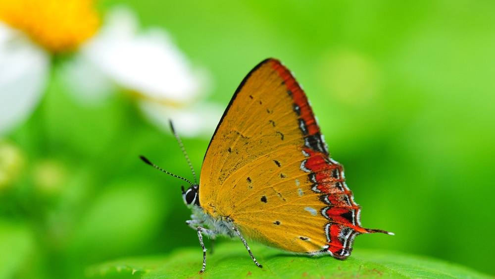 3D-HD-Wallpapers ภาพพื้นหลัง พักหน้าจอ No.2