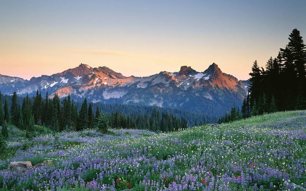 3D-HD-Wallpapers ภาพพื้นหลัง พักหน้าจอ No.3