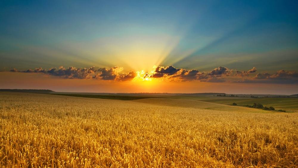 3D-HD-Wallpapers ภาพพื้นหลัง พักหน้าจอ No.3