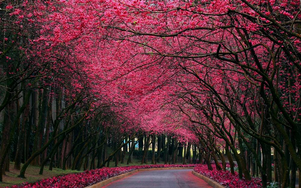 3D-HD-Wallpapers ภาพพื้นหลัง พักหน้าจอ No.5