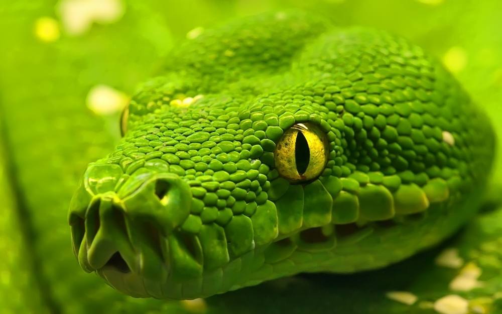 3D-HD-Wallpapers ภาพพื้นหลัง พักหน้าจอ No.5