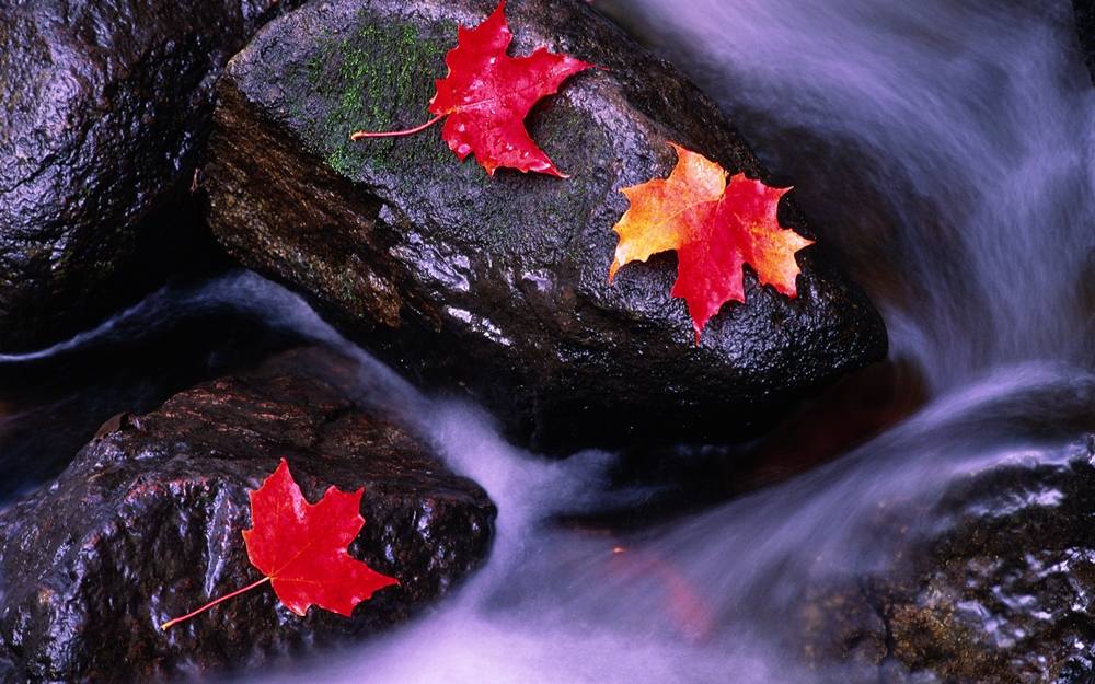 3D-HD-Wallpapers ภาพพื้นหลัง พักหน้าจอ No.5