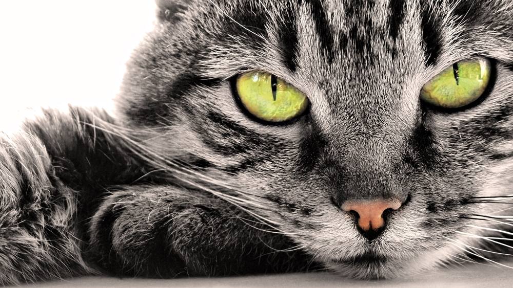 3D-HD-Wallpapers ภาพพื้นหลัง พักหน้าจอ No.5
