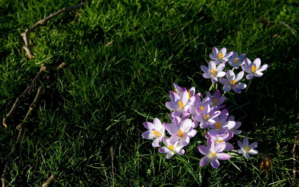 3D-HD-Wallpapers ภาพพื้นหลัง พักหน้าจอ No.6