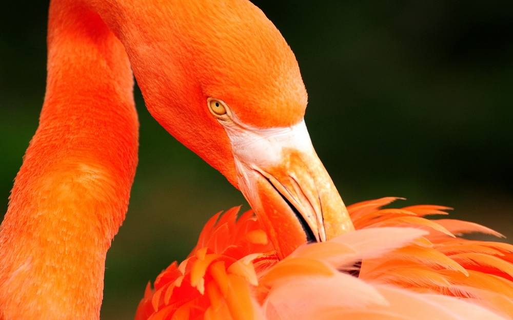 3D-HD-Wallpapers ภาพพื้นหลัง พักหน้าจอ No.6