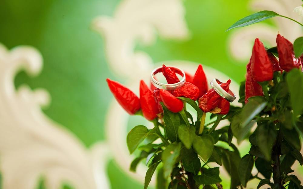 3D-HD-Wallpapers ภาพพื้นหลัง พักหน้าจอ No.7
