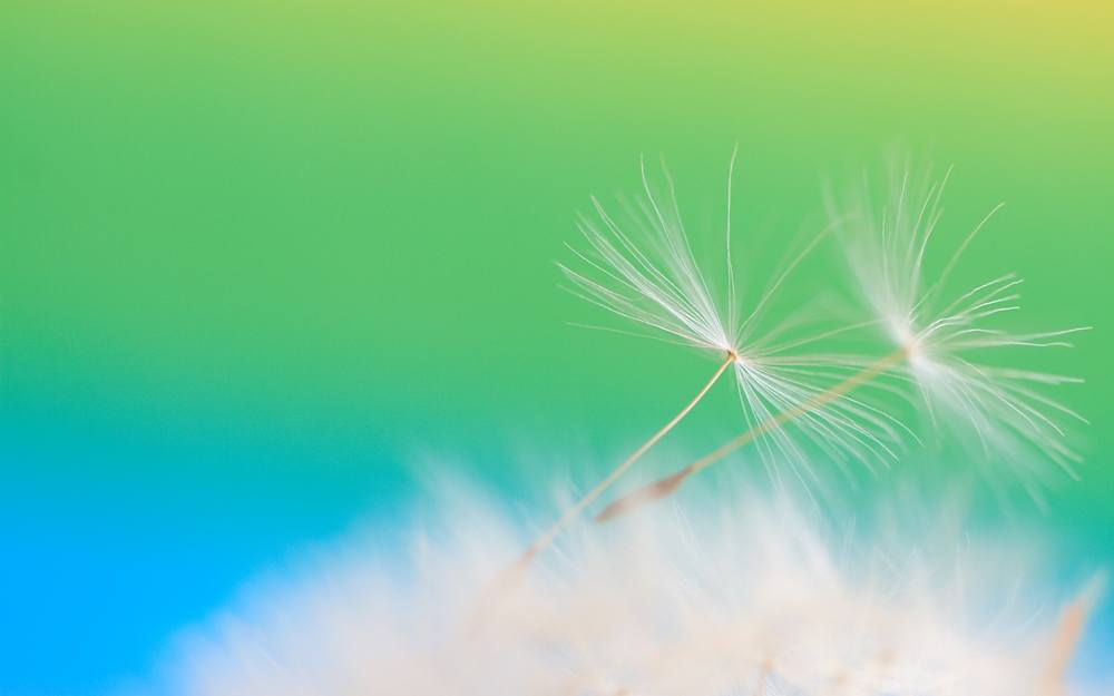 3D-HD-Wallpapers ภาพพื้นหลัง พักหน้าจอ No.7