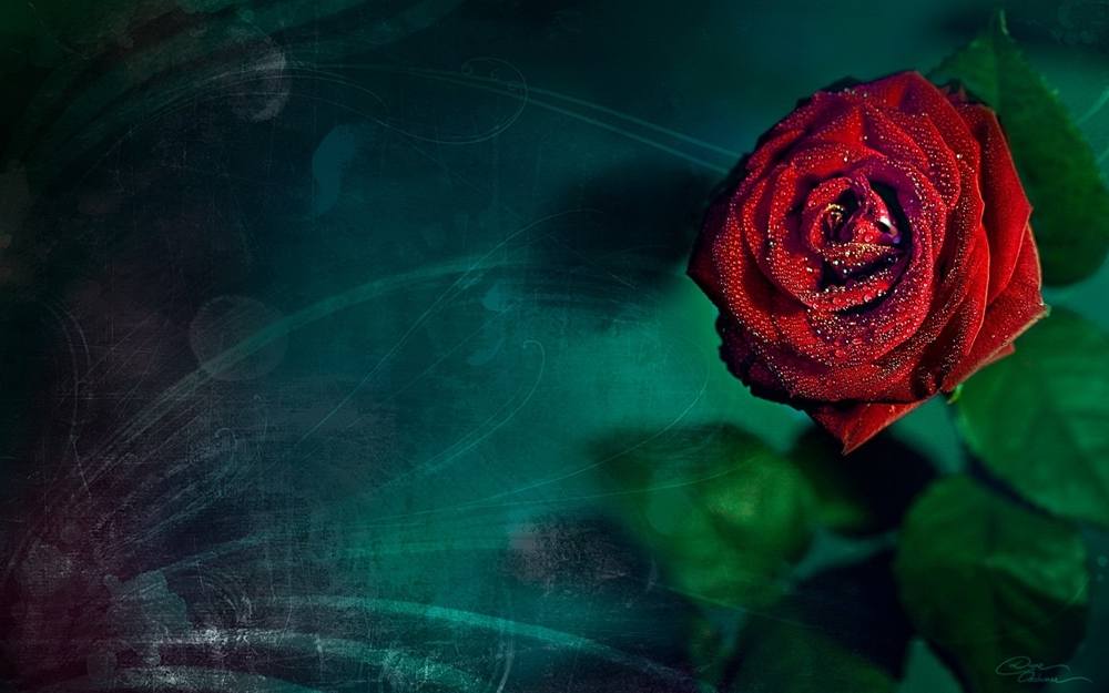 3D-HD-Wallpapers ภาพพื้นหลัง พักหน้าจอ No.8