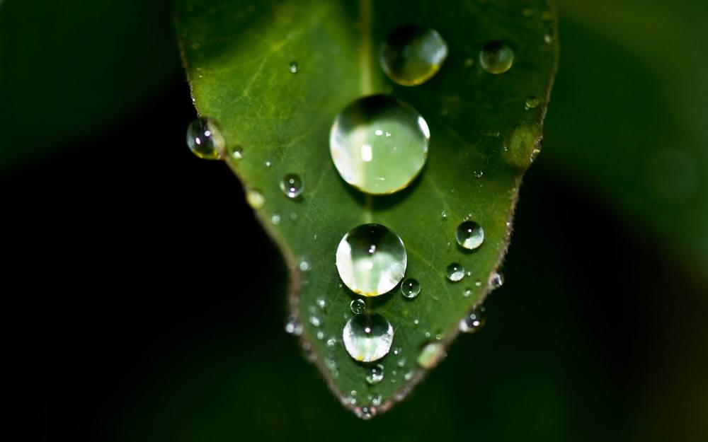 3D-HD-Wallpapers ภาพพื้นหลัง พักหน้าจอ No.8