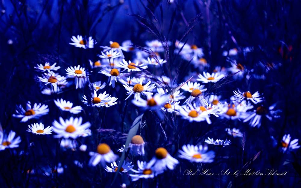 3D-HD-Wallpapers ภาพพื้นหลัง พักหน้าจอ No.8