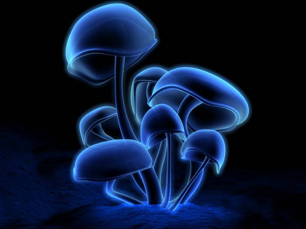 3D-HD-Wallpapers ภาพพื้นหลัง พักหน้าจอ No.9