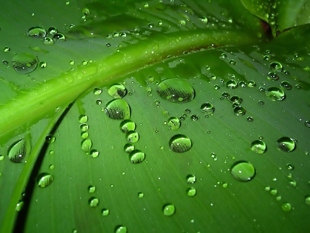 3D-HD-Wallpapers ภาพพื้นหลัง พักหน้าจอ No.10