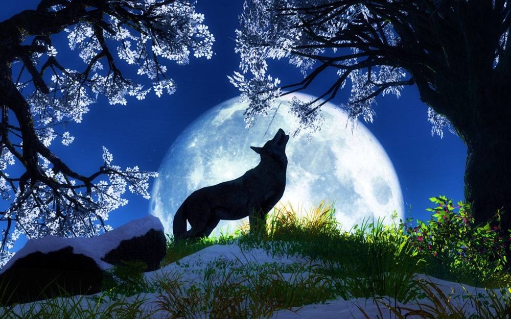 3D-HD-Wallpapers ภาพพื้นหลัง พักหน้าจอ No.10