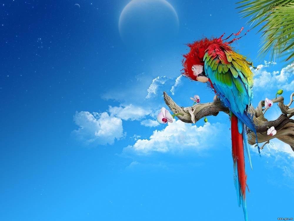 3D-HD-Wallpapers ภาพพื้นหลัง พักหน้าจอ No.10