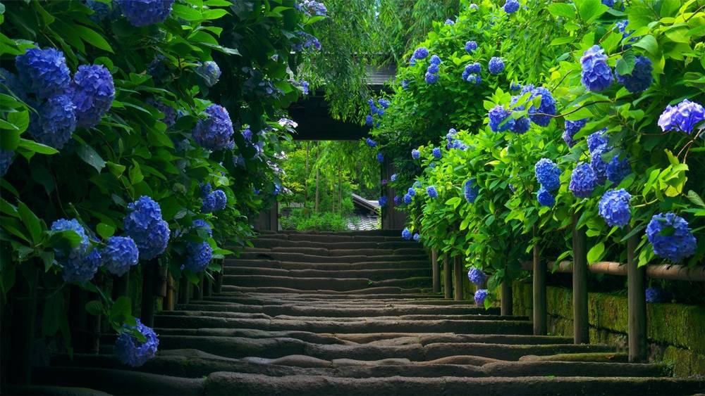 3D-HD-Wallpapers ภาพพื้นหลัง พักหน้าจอ No.10