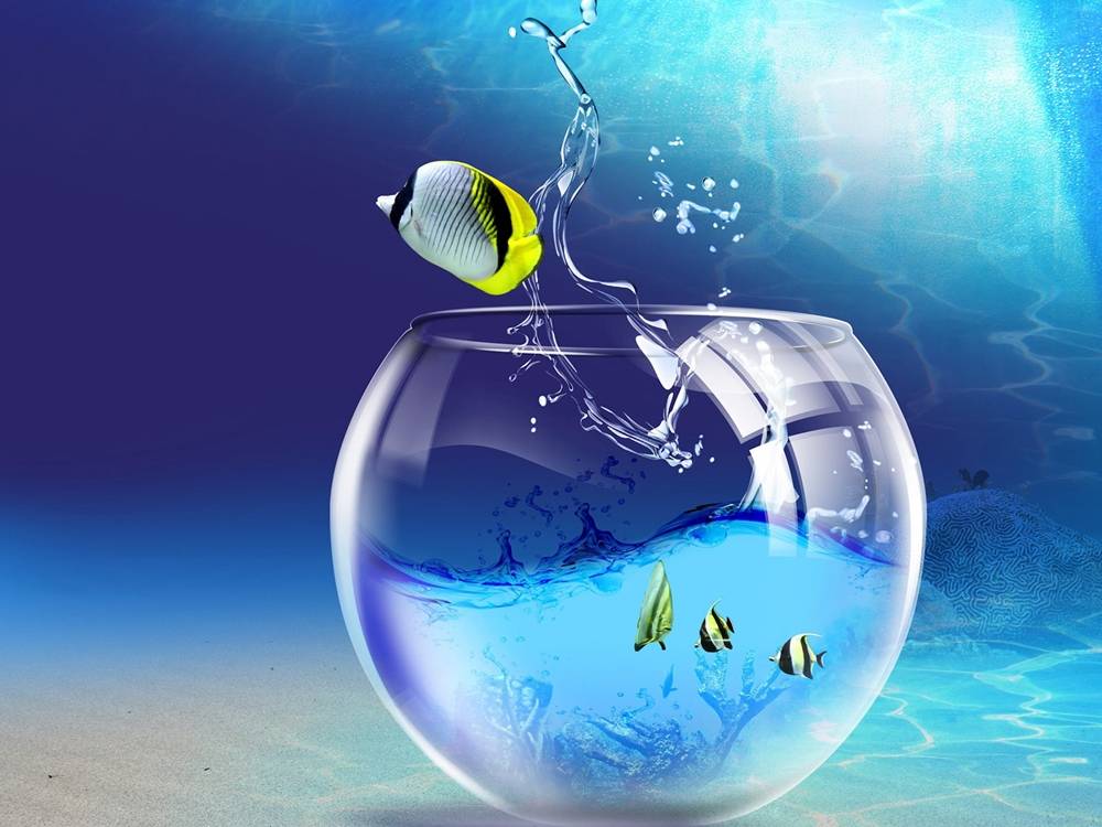 3D-HD-Wallpapers ภาพพื้นหลัง พักหน้าจอ No.11