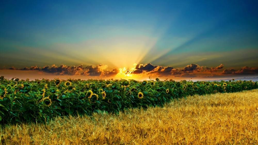 3D-HD-Wallpapers ภาพพื้นหลัง พักหน้าจอ No.11