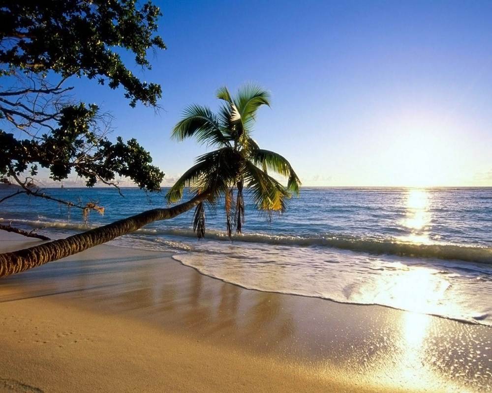 3D-HD-Wallpapers ภาพพื้นหลัง พักหน้าจอ No.12