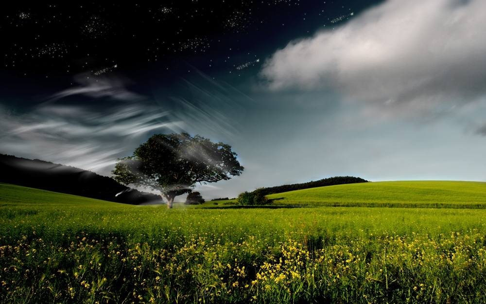3D-HD-Wallpapers ภาพพื้นหลัง พักหน้าจอ No.13
