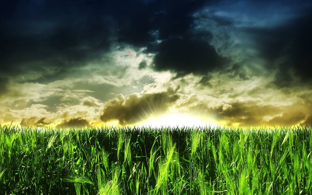 3D-HD-Wallpapers ภาพพื้นหลัง พักหน้าจอ No.14