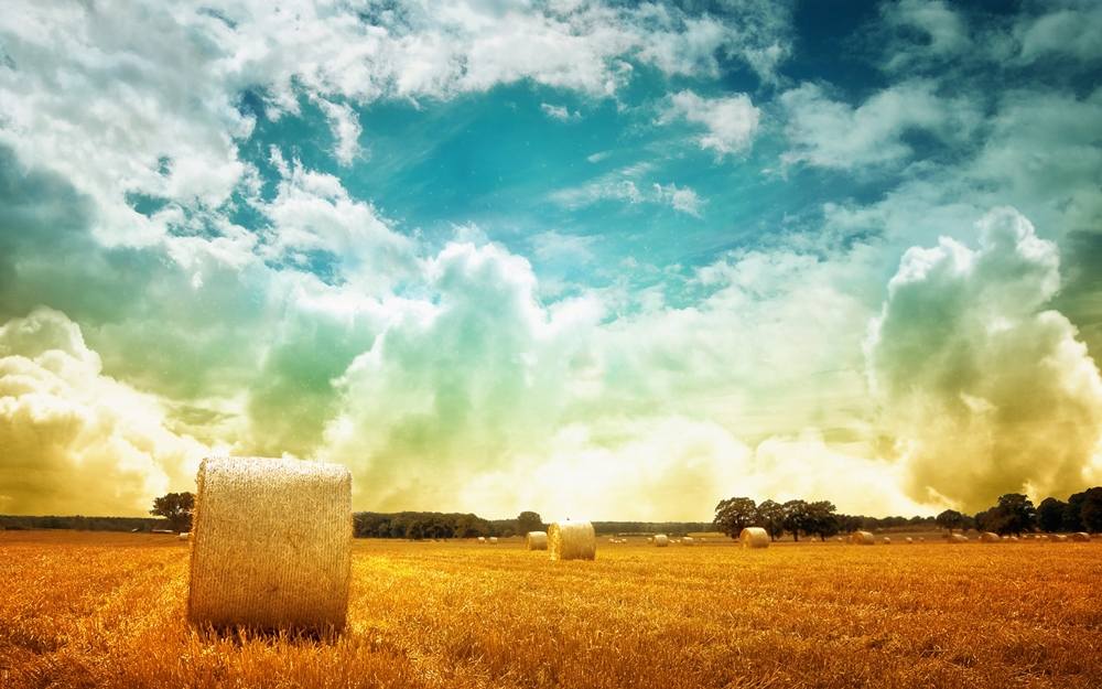 3D-HD-Wallpapers ภาพพื้นหลัง พักหน้าจอ No.14