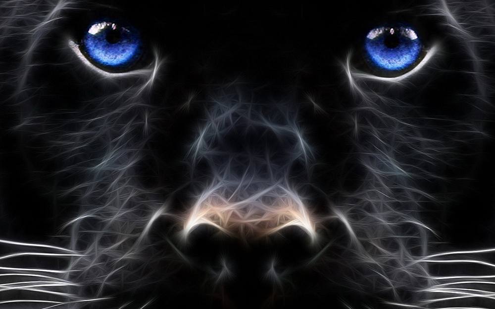 3D-HD-Wallpapers ภาพพื้นหลัง พักหน้าจอ No.15