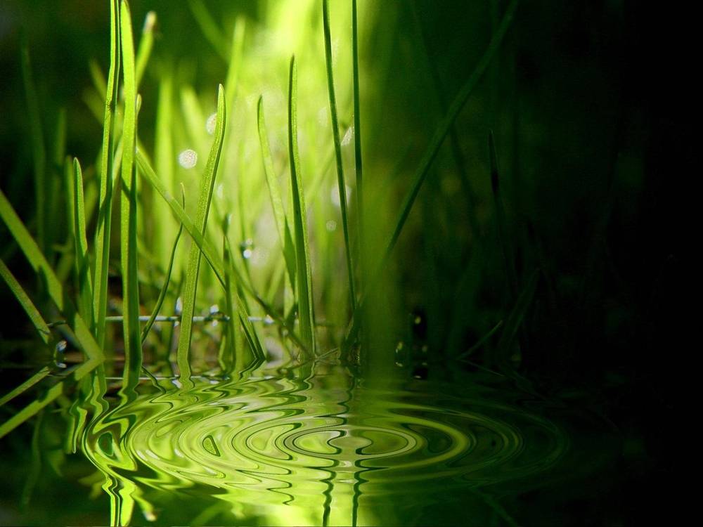 3D-HD-Wallpapers ภาพพื้นหลัง พักหน้าจอ No.15