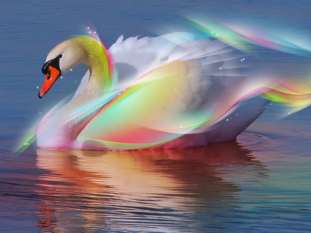 3D-HD-Wallpapers ภาพพื้นหลัง พักหน้าจอ No.15